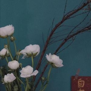 暴躁女儿免费观看完整版
